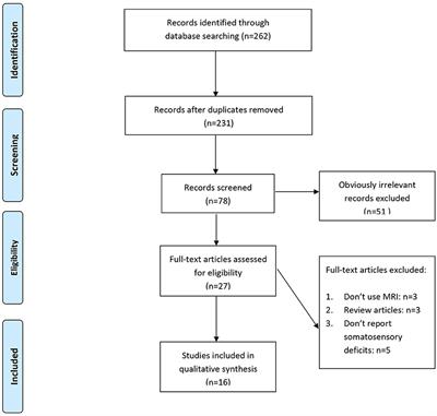 Somatosensory Deficits After Stroke: Insights From MRI Studies